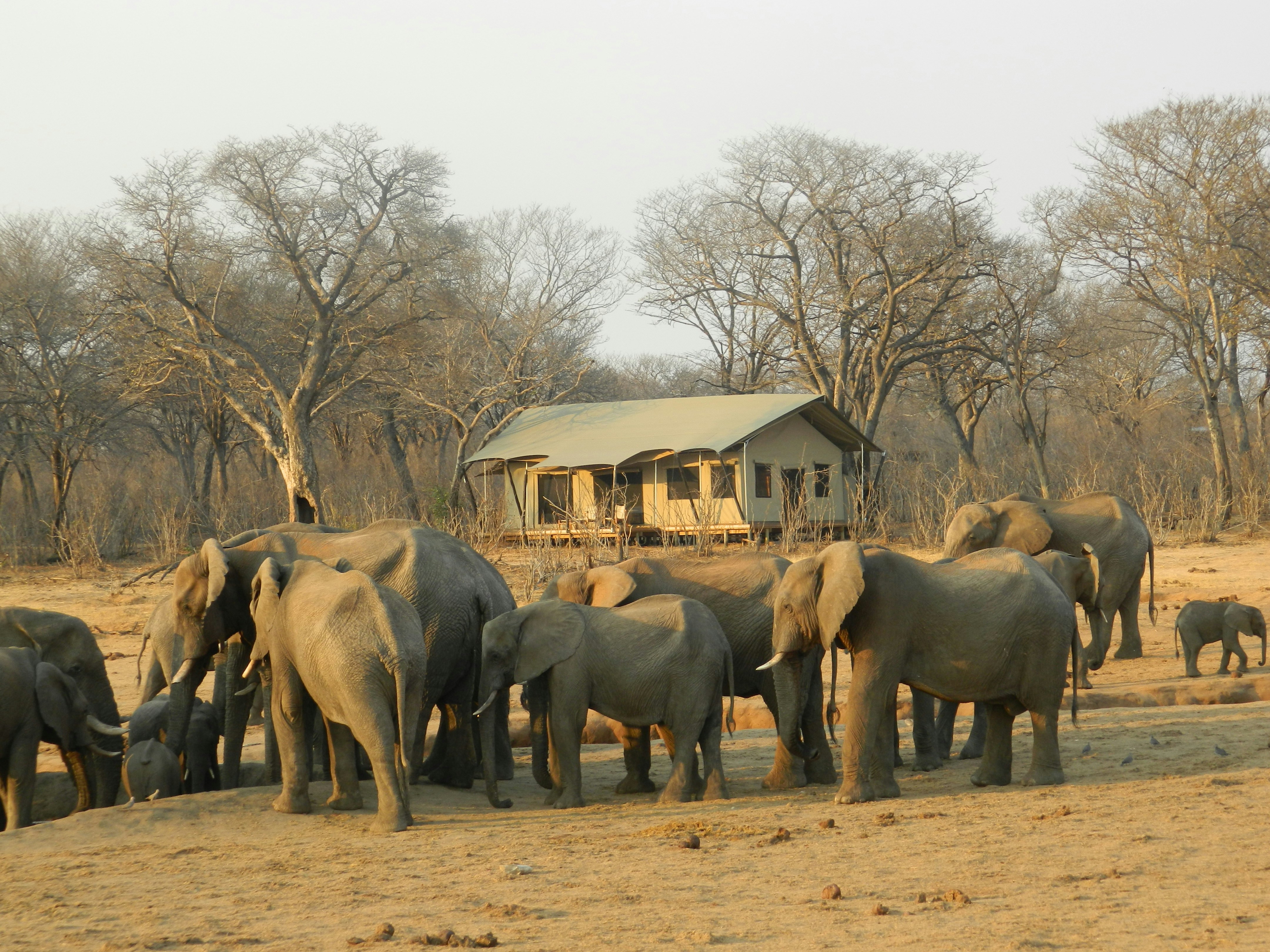 Sustainable Tourism